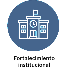 Fortalecimiento Institucional